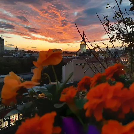 Penthouse Modena Apartment Novi Sad