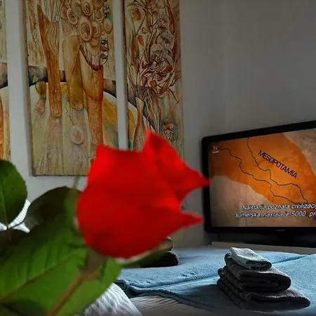 Penthouse Modena Novi Sad